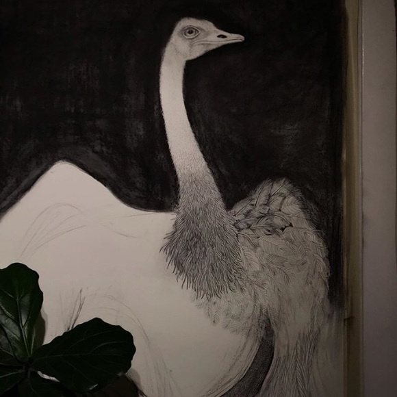 Meet your Posher, Kalynn - Picture 3 of 4